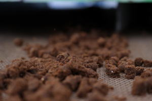 BELEDİYEDEN SOKAK HAYVANLARI İÇİN MAMA ÜRETİMİ