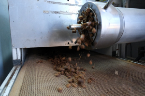 BELEDİYEDEN SOKAK HAYVANLARI İÇİN MAMA ÜRETİMİ