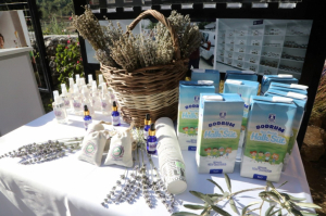 ETRİM TARIM KAMPI’NDA CUMHURİYET BAYRAMI’NA ÖZEL ETKİNLİK