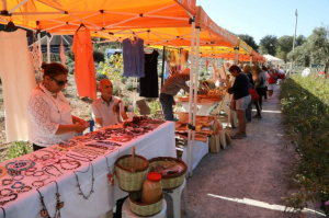 ETRİM TARIM KAMPI’NDA CUMHURİYET BAYRAMI’NA ÖZEL ETKİNLİK