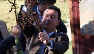 BODRUM BELEDİYESİ’NDEN DRONE İLE İLAÇLAMA DÖNEMİ BAŞLIYOR