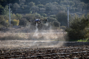 BODRUM BELEDİYESİ’NDEN DRONE İLE İLAÇLAMA DÖNEMİ BAŞLIYOR