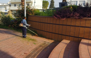 BODRUM BELEDİYESİ AĞAÇ BUDAMA ÇALIŞMALARI