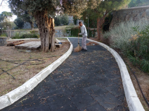 BODRUM BELEDİYESİ AĞAÇ BUDAMA ÇALIŞMALARI