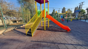 BODRUM BELEDİYESİ AĞAÇ BUDAMA ÇALIŞMALARI