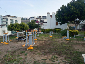 BODRUM BELEDİYESİ AĞAÇ BUDAMA ÇALIŞMALARI