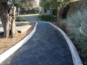 BODRUM BELEDİYESİ AĞAÇ BUDAMA ÇALIŞMALARI