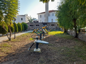 BODRUM BELEDİYESİ AĞAÇ BUDAMA ÇALIŞMALARI