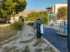 BODRUM BELEDİYESİ AĞAÇ BUDAMA ÇALIŞMALARI