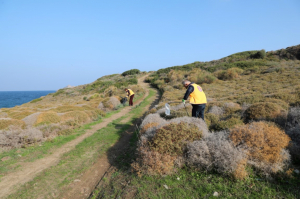 KÜDÜR’DE SAHİL TEMİZLİĞİ