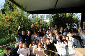 BAŞKAN ARAS, ÖĞRENCİLERLE MANDALİNA HASADI YAPTI