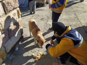DEPREM BÖLGESİNDEKİ ACILARI, BODRUM’UN İYİ KALBİ DİNDİRİYOR