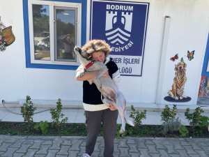 DEPREMDEN KURTULAN EGE’NİN HAYVAN SEVGİSİ