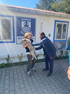 DEPREMDEN KURTULAN EGE’NİN HAYVAN SEVGİSİ