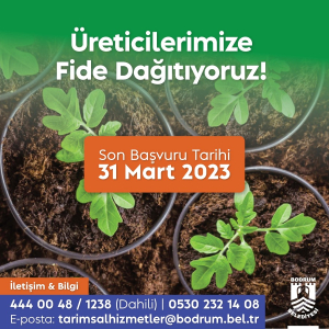 ÜRETİCİLERE BELEDİYEDEN FİDE DESTEĞİ