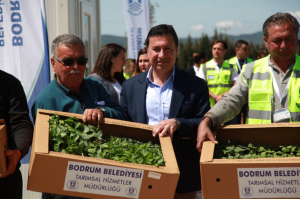 ÜRETİCİLERE BELEDİYEDEN FİDE DESTEĞİ