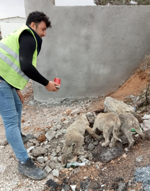BU KENTİN FARKI, BODRUM DAYANIŞMASI
