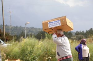 BODRUM BELEDİYESİ, 350 BİN FİDEYİ ÜRETİCİYLE BULUŞTURDU