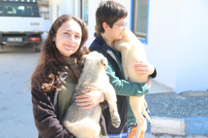 DÜNYA VETERİNER HEKİMLER GÜNÜ KUTLANDI