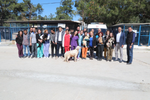 DÜNYA VETERİNER HEKİMLER GÜNÜ KUTLANDI