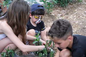 BODRUM BELEDİYESİ’NDEN “BABALAR KAMPI”