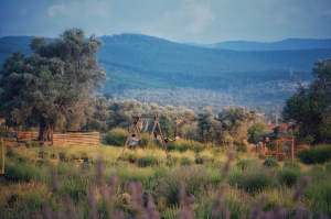 BODRUM BELEDİYESİ’NDEN “BABALAR KAMPI”