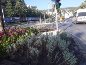 BELEDİYE EKİPLERİNİN BAYRAM MESAİSİ