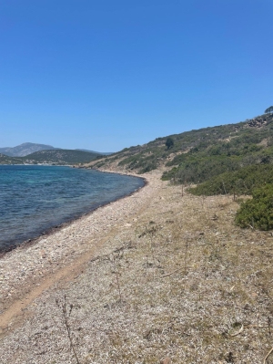 BELEDİYEDEN, ADA VE KOYLARDA TEMİZLİK