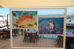 1 TEMMUZ KABOTAJ BAYRAMI KUTLANDI