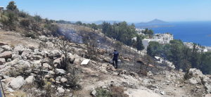 BODRUM BELEDİYESİ EKİPLERİ YANGINLARA MÜDAHALEDE DESTEK OLDU