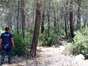 BELEDİYE EKİPLERİ YANGIN TEYAKKUZUNDA