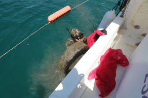 BODRUM BELEDİYESİ’NDEN DENİZ DİBİ TEMİZLİĞİ