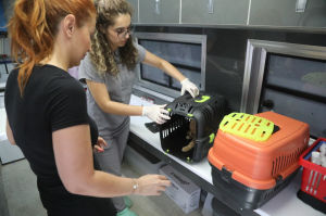 GEZİCİ VETERİNER EKİBİ BİTEZ'DEYDİ