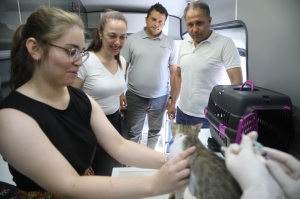 GEZİCİ VETERİNER EKİBİ BİTEZ'DEYDİ