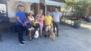 GEZİCİ VETERİNER EKİBİ BİTEZ'DEYDİ