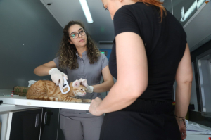 GEZİCİ VETERİNER EKİBİ BİTEZ'DEYDİ