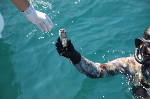 YALIKAVAK’TA DENİZ DİBİ TEMİZLİĞİ