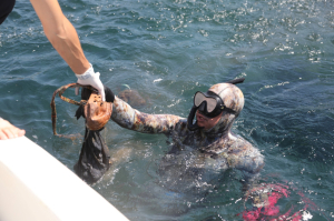 YALIKAVAK’TA DENİZ DİBİ TEMİZLİĞİ