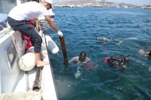 YALIKAVAK’TA DENİZ DİBİ TEMİZLİĞİ