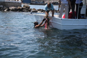 YALIKAVAK’TA DENİZ DİBİ TEMİZLİĞİ