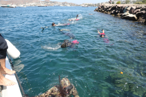 YALIKAVAK’TA DENİZ DİBİ TEMİZLİĞİ