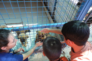 ÖĞRENCİLERDEN SOKAK HAYVANLARINA ZİYARET