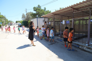ÖĞRENCİLERDEN SOKAK HAYVANLARINA ZİYARET