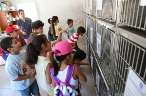 ÖĞRENCİLERDEN SOKAK HAYVANLARINA ZİYARET