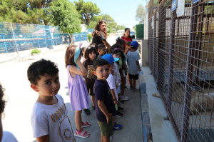 ÖĞRENCİLERDEN SOKAK HAYVANLARINA ZİYARET