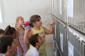 ÖĞRENCİLERDEN SOKAK HAYVANLARINA ZİYARET