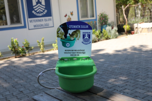 SOKAK HAYVANLARI İÇİN OTOMATİK SULUK