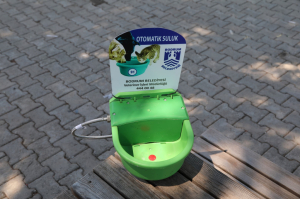 SOKAK HAYVANLARI İÇİN OTOMATİK SULUK