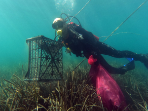 GÜMÜŞLÜK’TE DENİZ DİBİ TEMİZLİĞİ