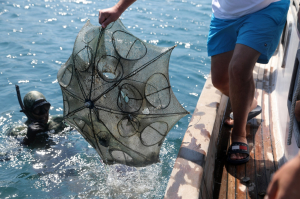 GÜMÜŞLÜK’TE DENİZ DİBİ TEMİZLİĞİ